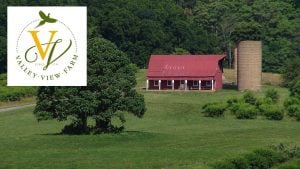 Historic Valley View Farm Wine Hard Cider Pick-Your-Own Orchard Strother Vineyards Philip Carter Winery