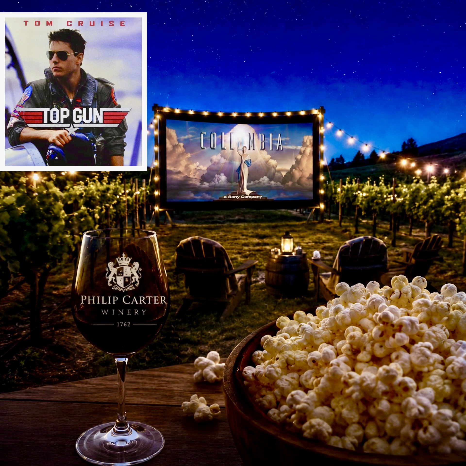 Movie In The Vineyard Top Gun